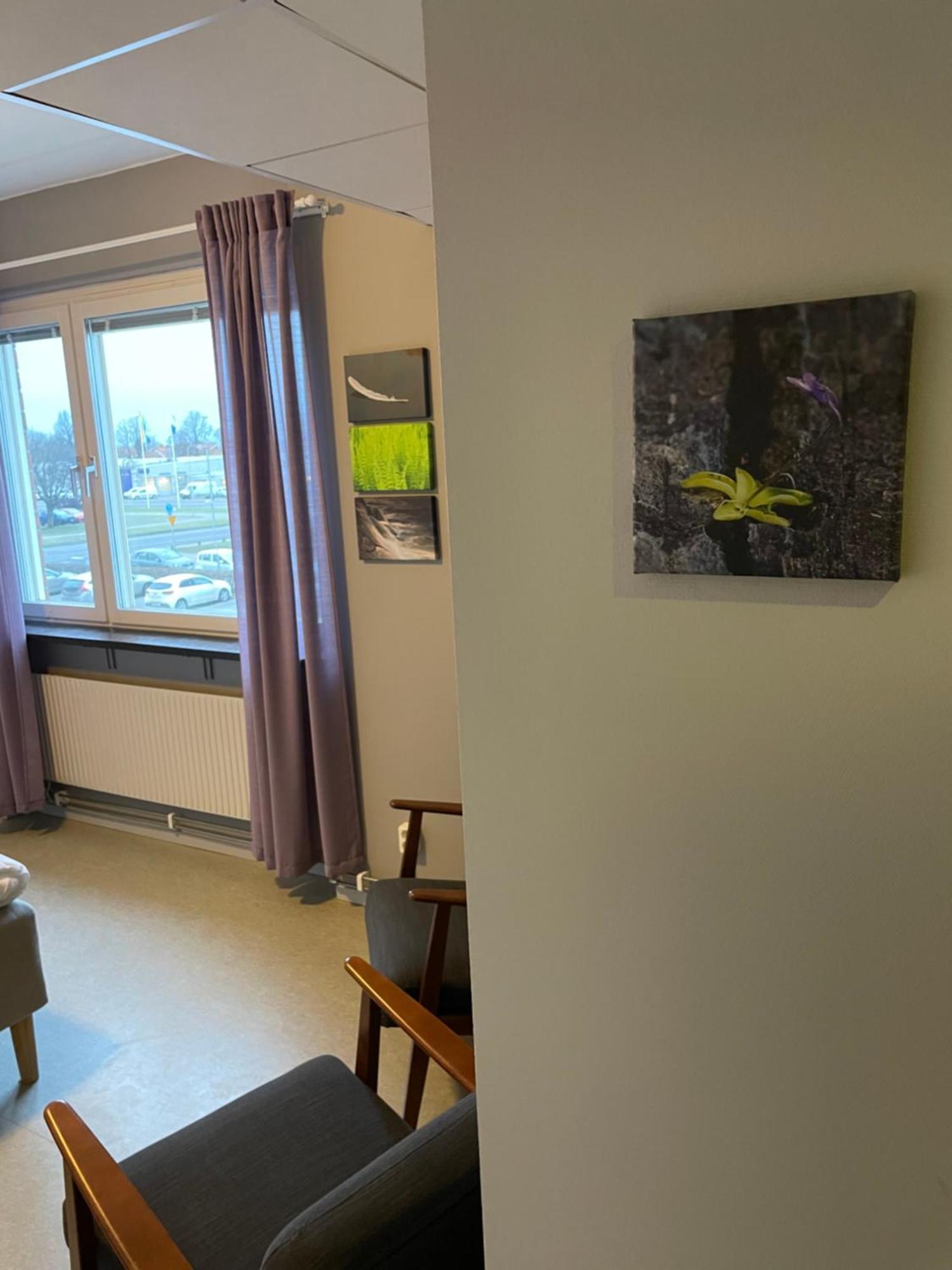 Broholm Bed&Breakfast Lidkoping Bilik gambar